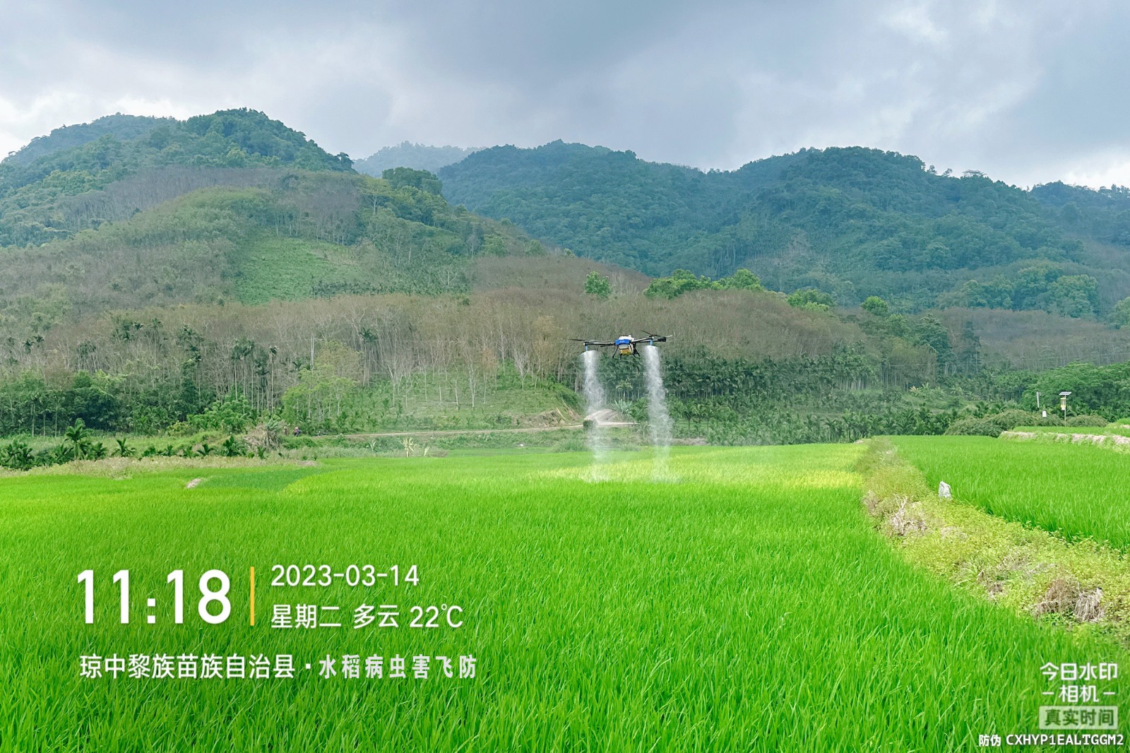 1679471111463300WL7b.jpg 1679471111463300WL7b.jpg