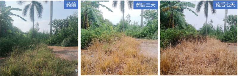 1754035832848089zhKn.png 圖片1.png